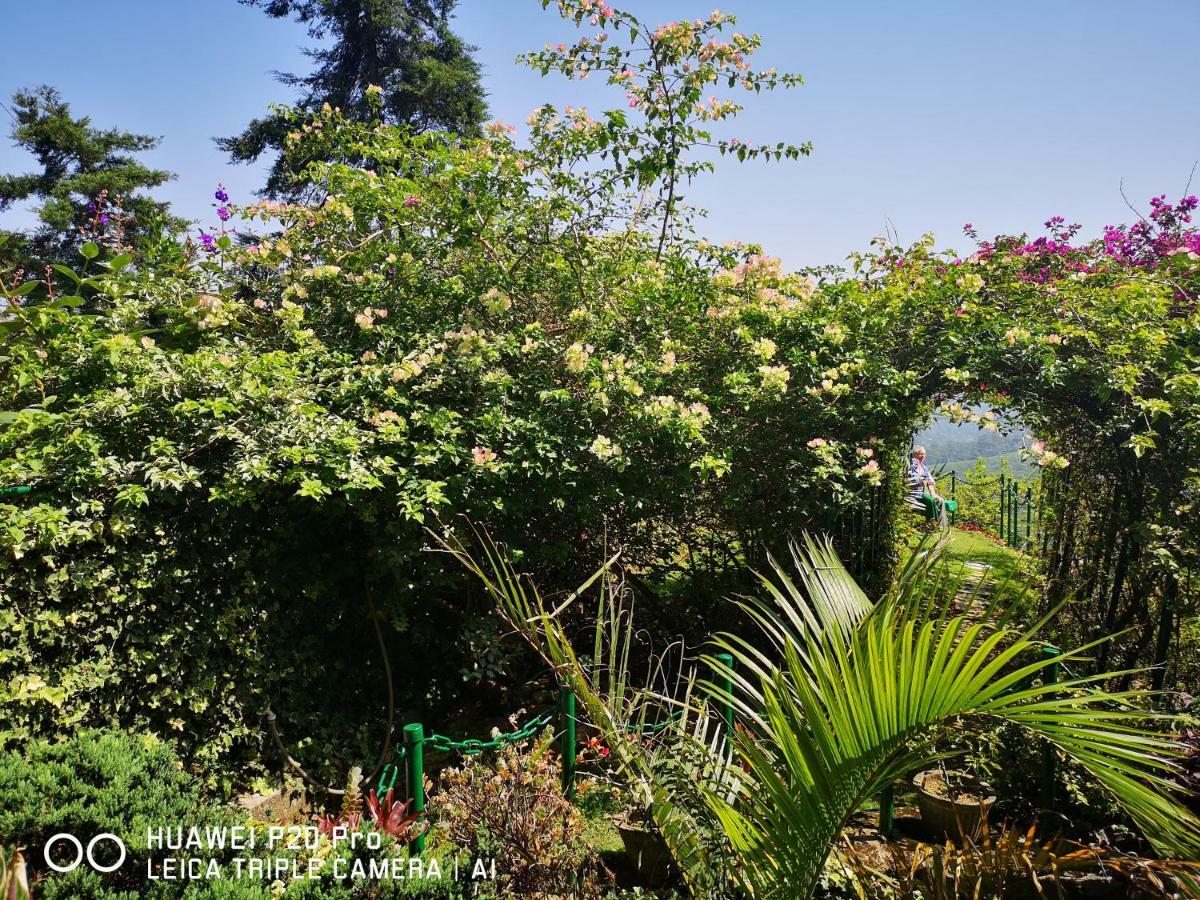 'T En Zal Acomodação com café da manhã Haputale Exterior foto